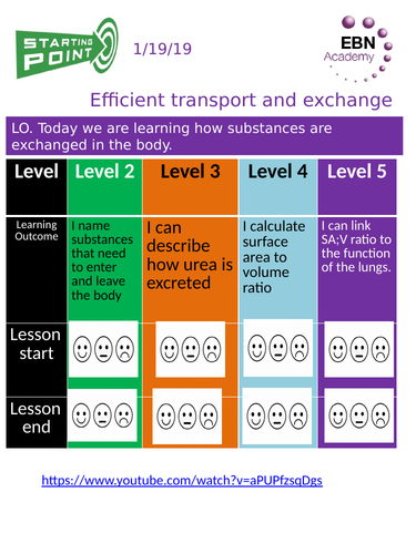 9-1 Edexcel Efficient transport and exchange