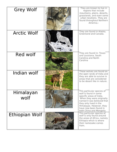 Year 6 English non-chronological report - whole unit of work inc modelled write and Smartnotes