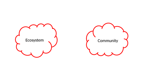 Communities and Ecosystems lesson