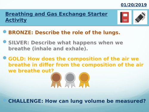 KS3/KS4 Biology Gas Exchange System Lungs Breathing Respiration Full Lesson