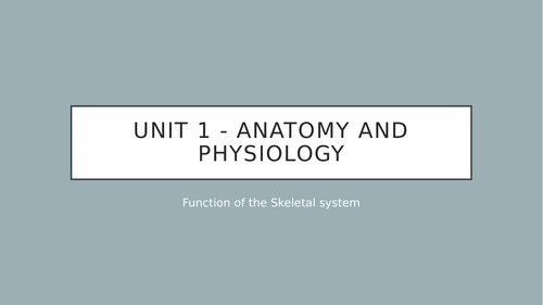 Level 3 BTEC Sport Anatomy & Physiology: Functions of the Skeleton