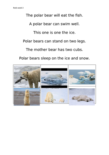Arctic Sentence Matching Key Stage 1 or EYFS