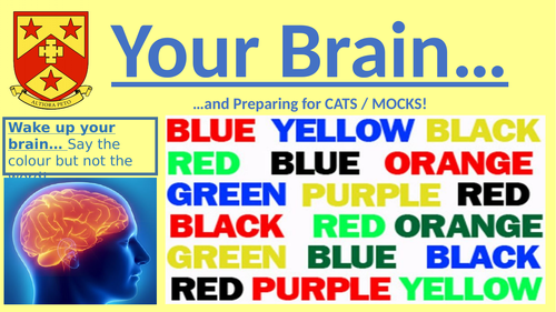 Brain Assembly