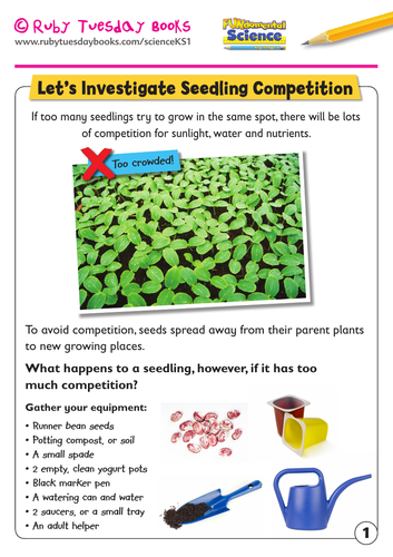 KS1 Science: Plants -Let’s investigate seedling competition