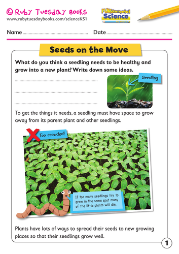 KS1 Science: Plants - Seeds on the move