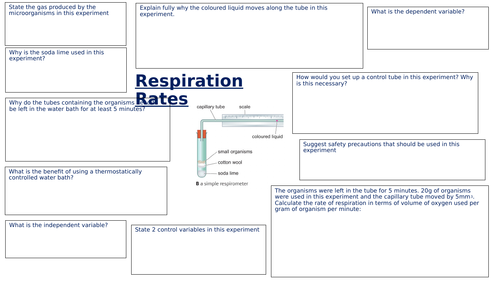 CB8d Respiration  rates revision sheet