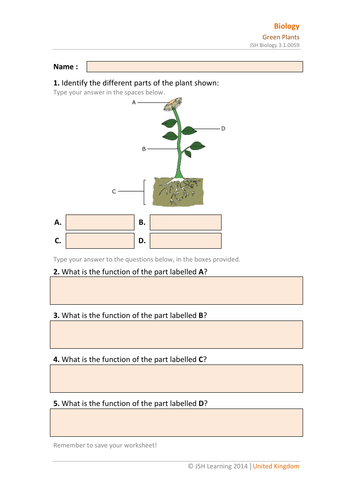 ks3 science green plants interactive pdf teaching resources