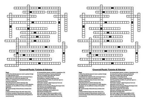 Selection & Evolution Crossword Puzzles (A-level Biology)