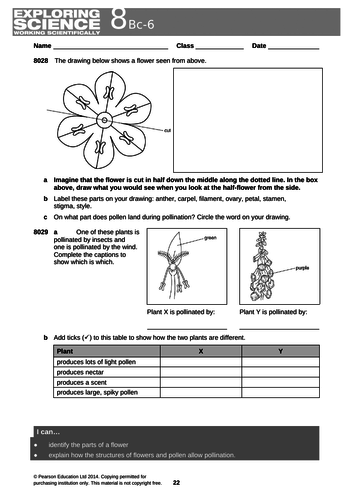 Parts of a flower/ plant reproduction