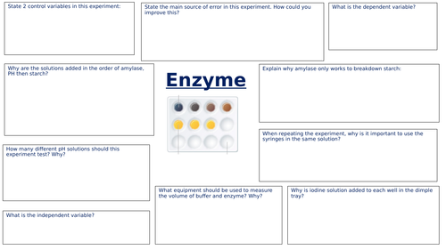 CB1g Enzymes core practical revision
