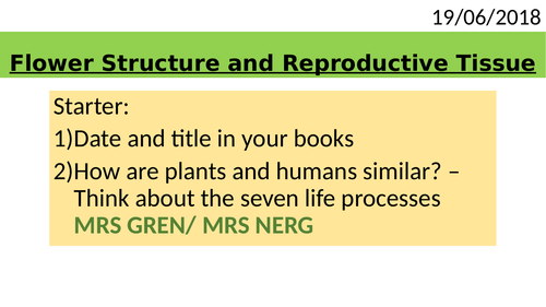 Year 8 Flower Structure and Reproductive Tissue