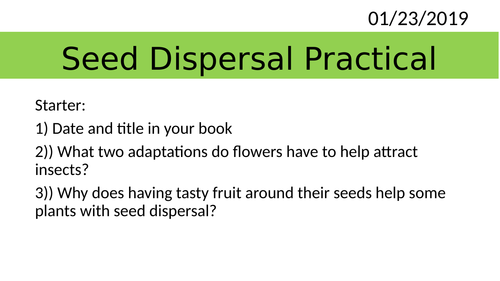 Year 8 Seed Dispersal Practical