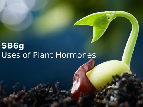 Edexcel SB6g Uses of Plant Hormones