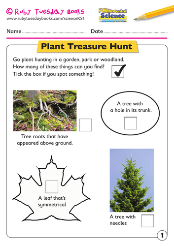 Plants - plant treasure hunt