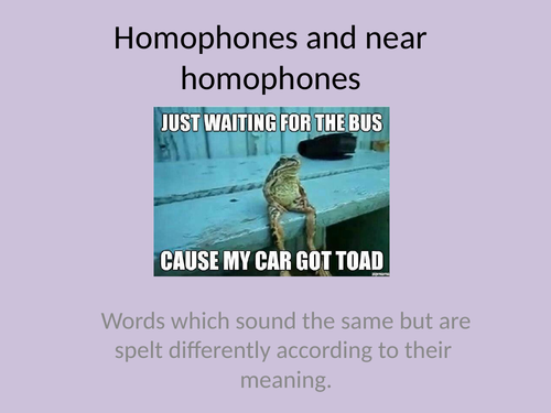 Simple homophones and near homophones  KS2  PPT