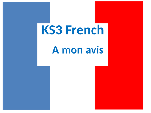 French Opinions lesson