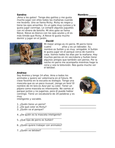 Mis mascotas Lectura: Spanish Reading on Pets: Dog, Cats and Parrot