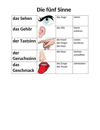 Fünf Sinne (Five Senses in German) Reference Sheet