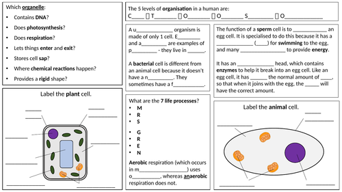 Cells Revision Summary Sheet/Research Task