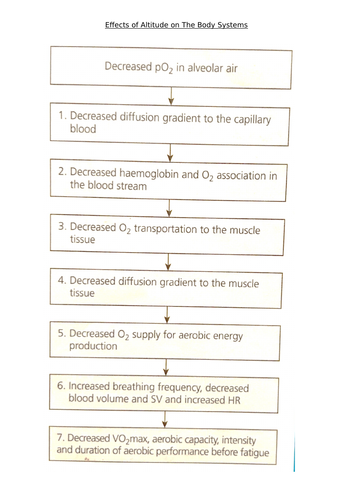 OCR A LEVEL PE- Effects of altitude and acclimatisation