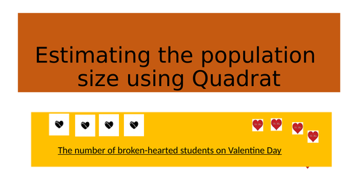 Using Quadrat to estimate the population size: Adapted for Valentine's Day KS3 Science