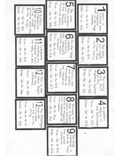 Circulatory System True / False loop cards