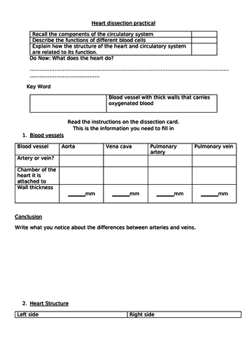 Heart dissection practical instruction/discussion card