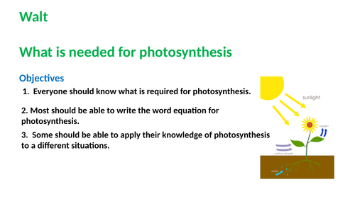 Photosynthesis planet KS3 or low ability KS4