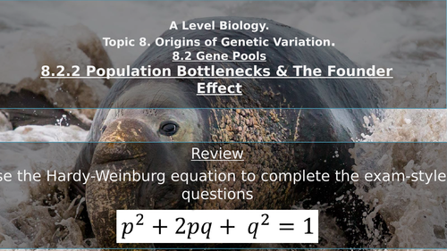 Population Bottlenecks & The Founder Effect