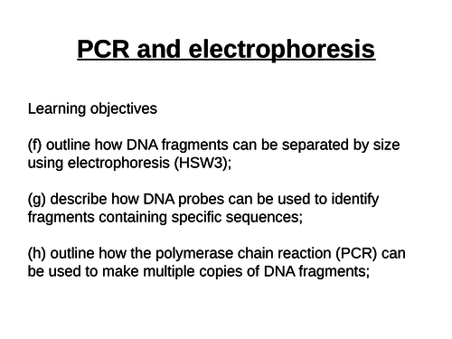 Genetic Fingerprinting (including PCR and gel electrophoresis)