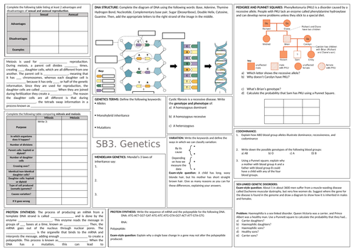 Genetics Revision Mat Worksheet (SB3 Genetics Edexcel)