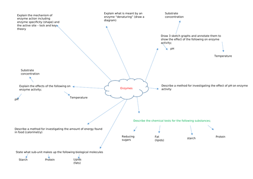 Enzymes Revision Mind Map