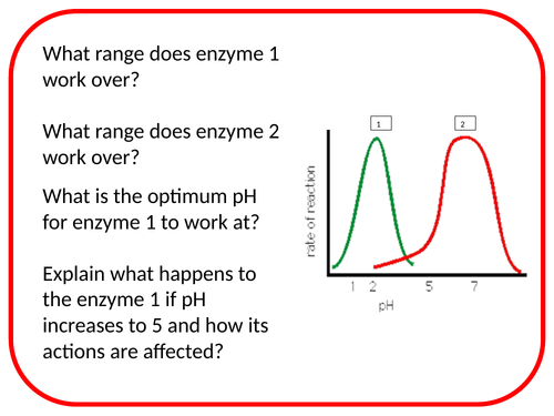 Enzyme Function Differentiated Activity