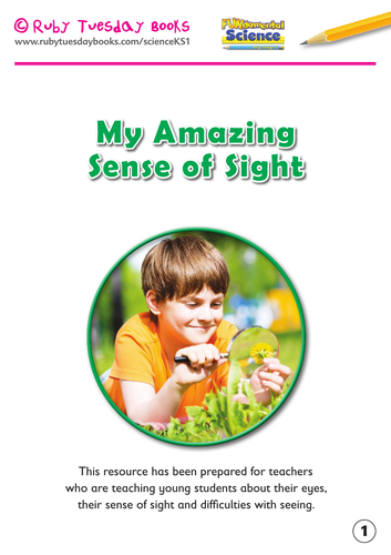 My amazing sense of sight booklet