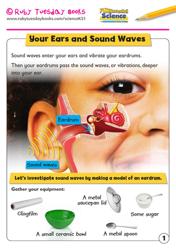 Create a model ear drum experiment