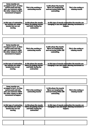 Antagonistic Pairs and Muscle Contractions