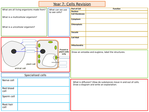 KS3, Year 7: Cells Revision Sheet