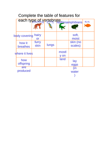 Classification of plants and animals | Teaching Resources