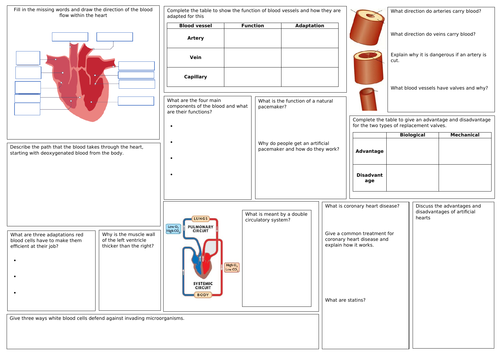 Heart and lung revision mat