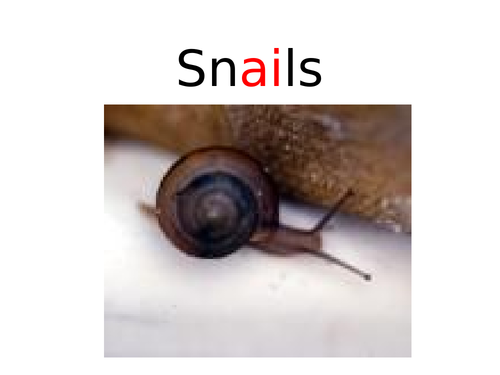 Snails