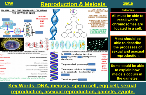 Sexual & Asexual Reproduction, DNA & Meiosis | AQA B2 4.6 | New Spec 9-1 (2018)