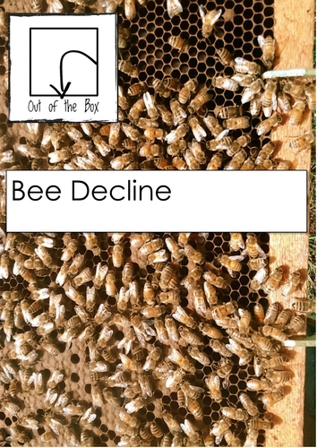 Bee Decline. Information and Worksheet
