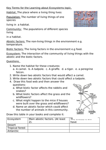 Key Terms for Learning about Ecosystems (Lower ability)