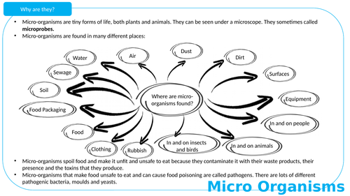 AQA GCSE Food Preparation & Nutrition section 3 lesson 1: Micro-organisms & Enzymes