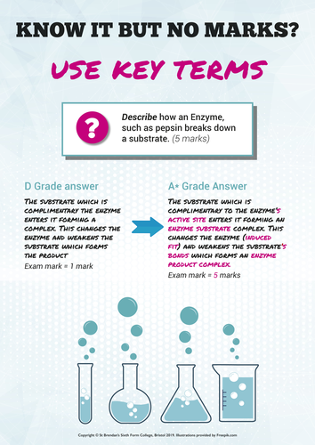 Biology A-level Model Answer Posters | Teaching Resources
