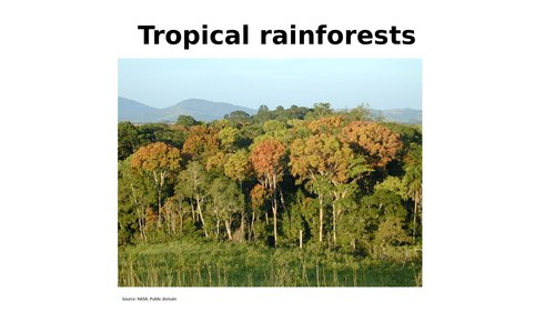 Tropical rainforest introduction
