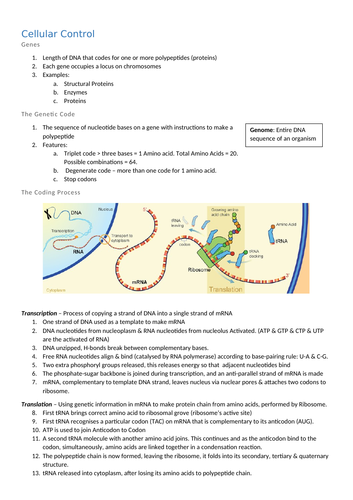 Cellular Control Revision Notes for OCR