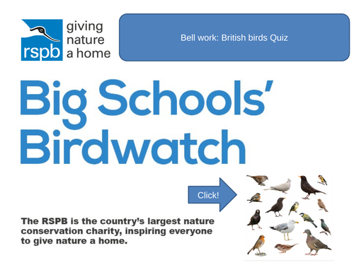 RSPB big school birdwatch lesson power point with cross curricular art activity