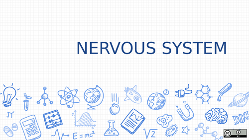 The Nervous System | Teaching Resources