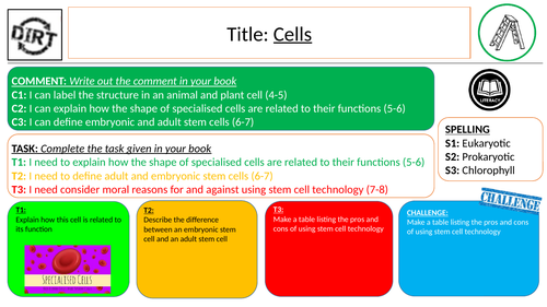 DIRT and Self-Reflection (Assessment for Learning - AfL)